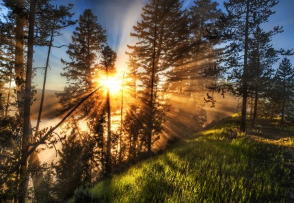 Morning. Coffee. Yellowstone. Fog. from the blog www.stuckincustoms.com