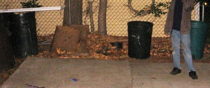IMG_5013 wrer cr