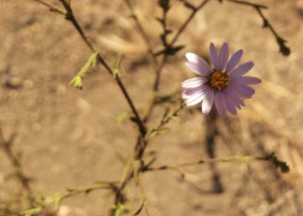 20140709_184620e