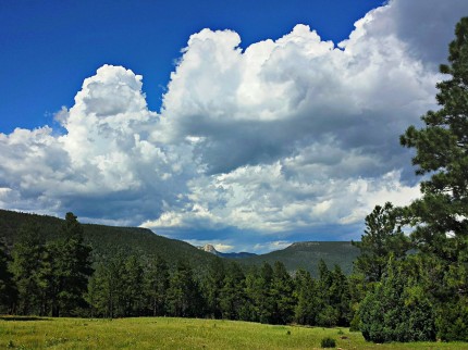 Tooth of Time from Carson Meadows