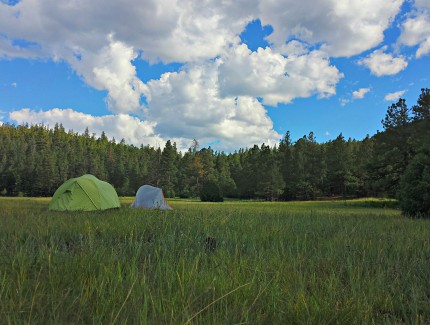 Camping in Carson Meadows