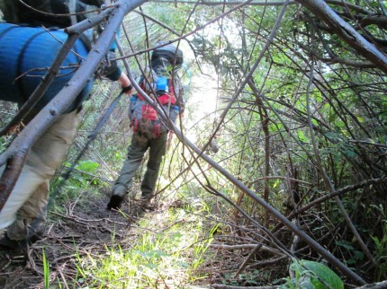 Another unmarked trail at Philmont